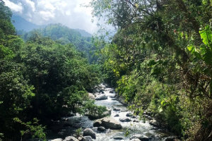 Photo 5 Cote caraïbes Minca